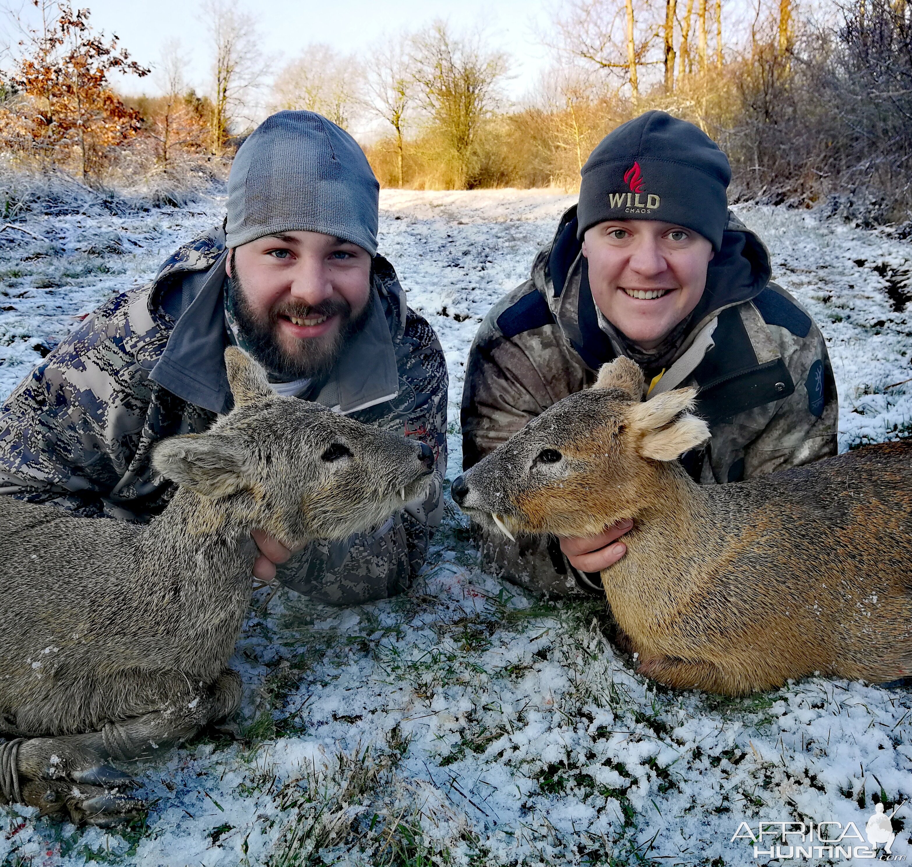 Europe Hunt Chinese Water Deer