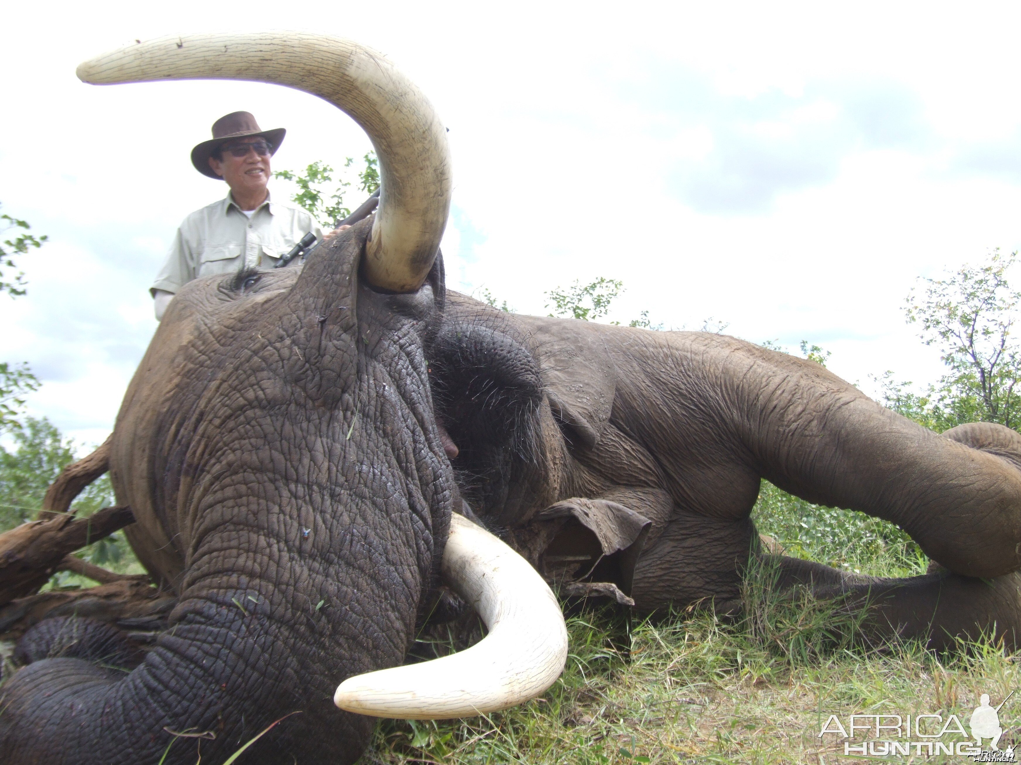 Excellent greater Kruger Elephant Bull, Spear Safaris