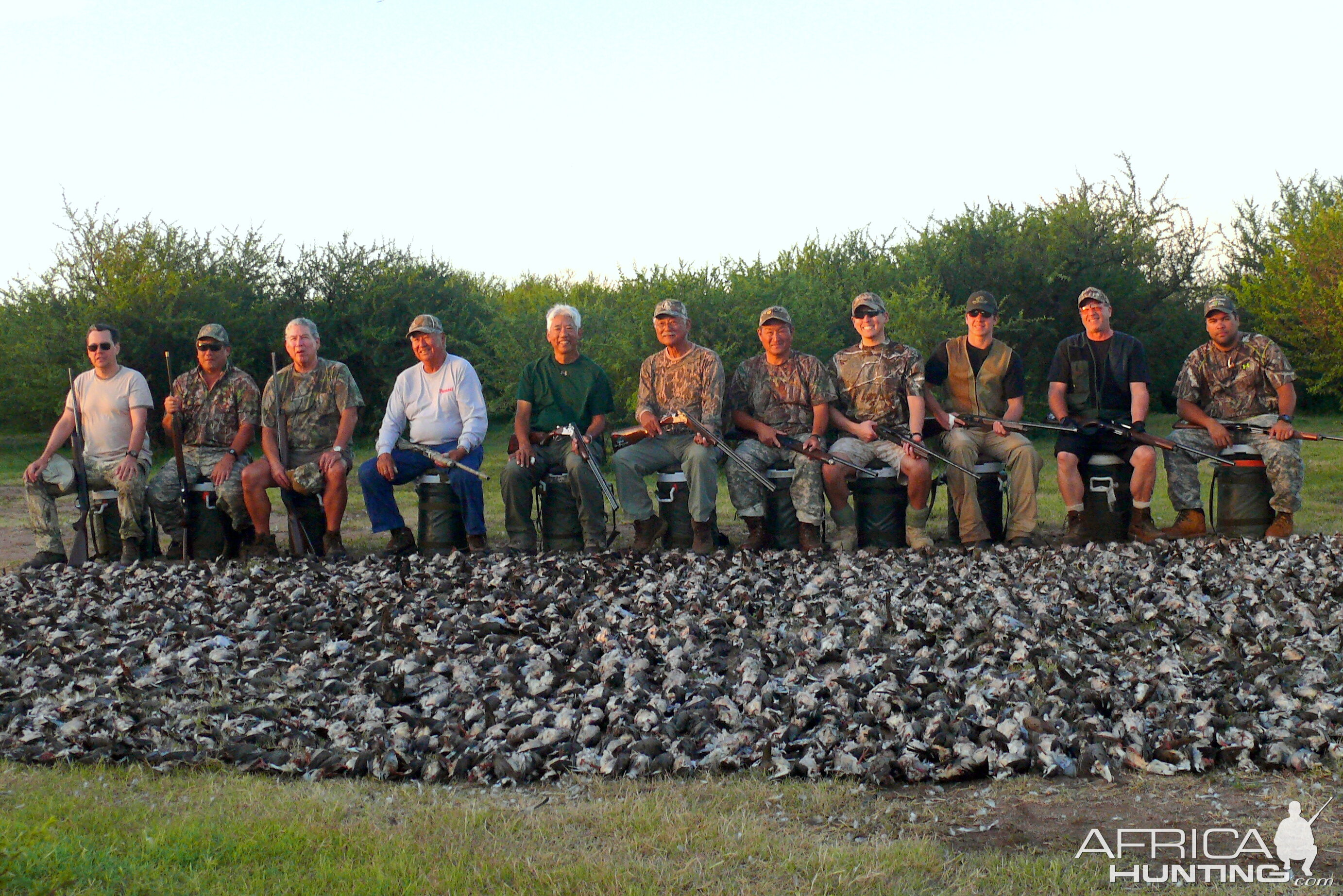 Fabulous dove shooting in Argentina