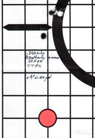 Factory Weatherby ammo .340 Wby 225 gr TTSX from a factory Mark V