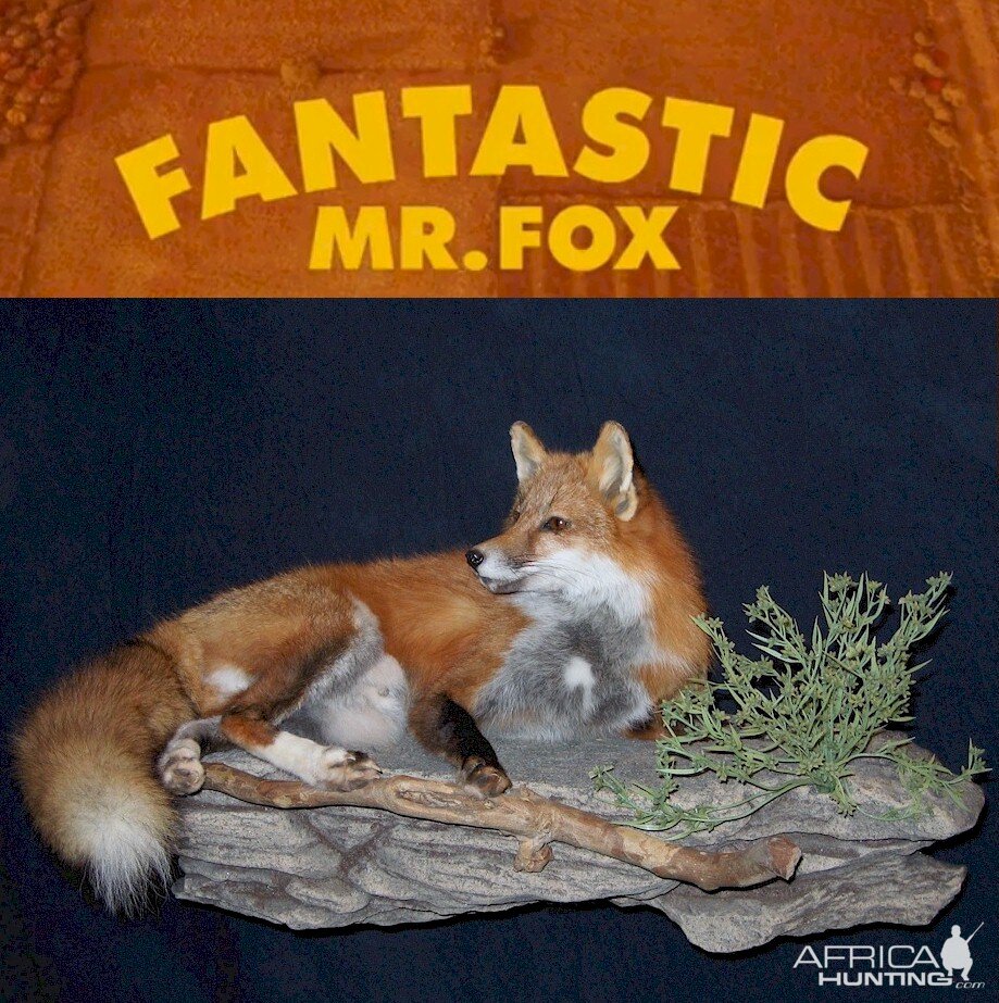 Fantastic Mr. Fox