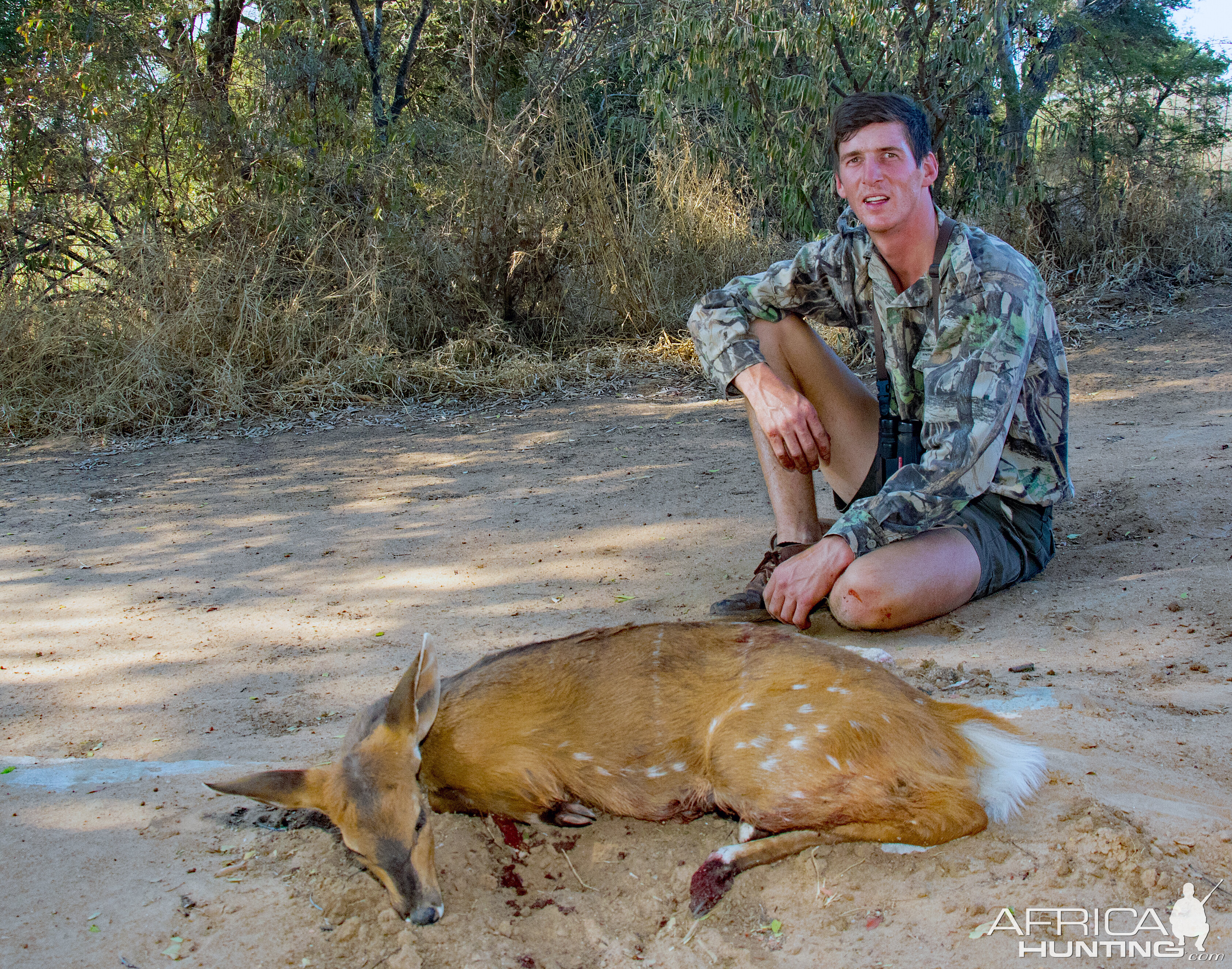 Female Bushbuck Hunting South Africa