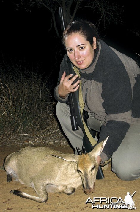 Female Duiker