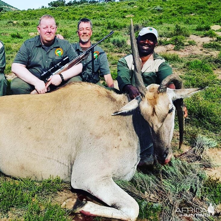 Female Eland Hunt in South Africa