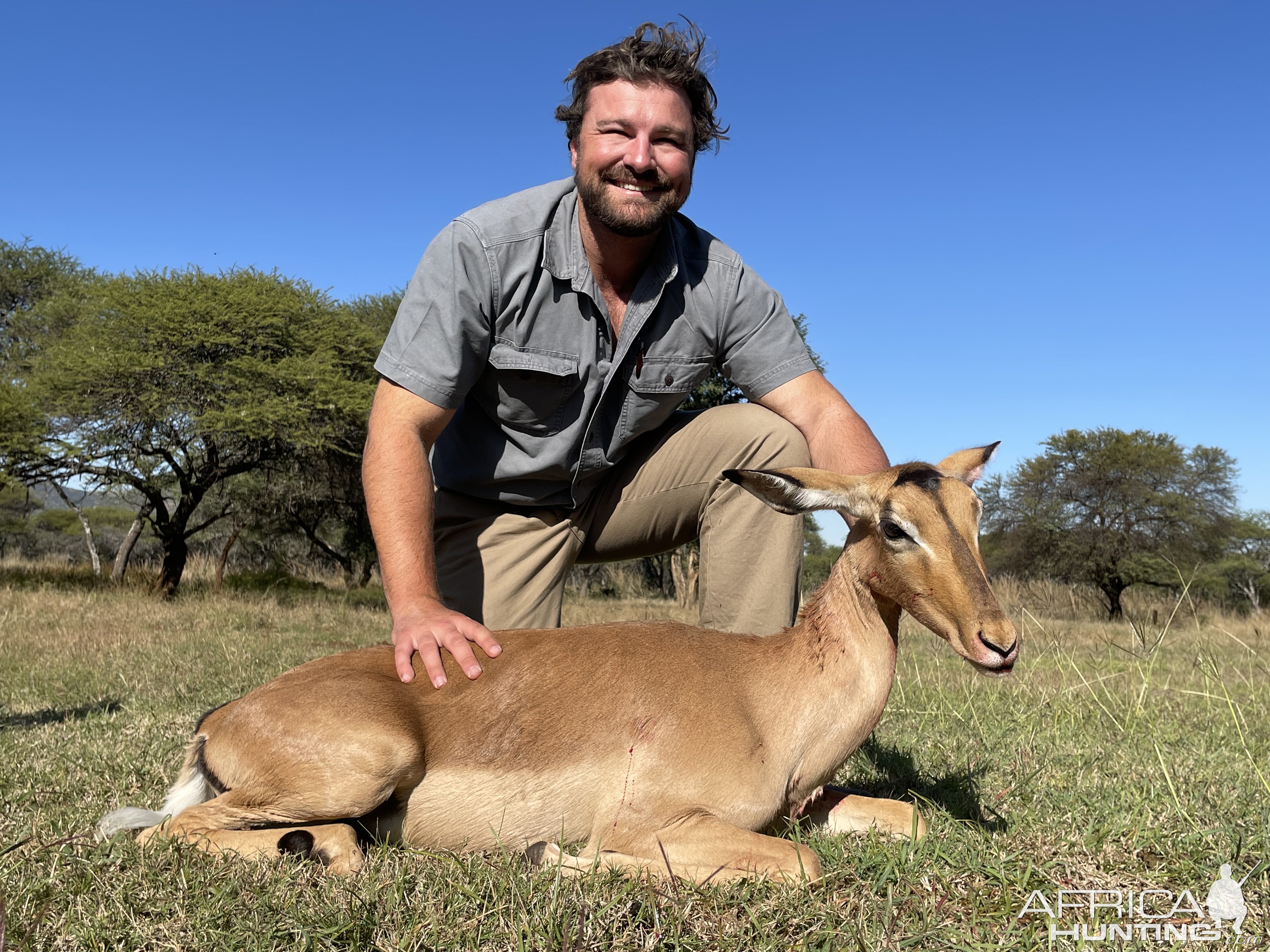 Female Impala Hunting Limpopo South Africa