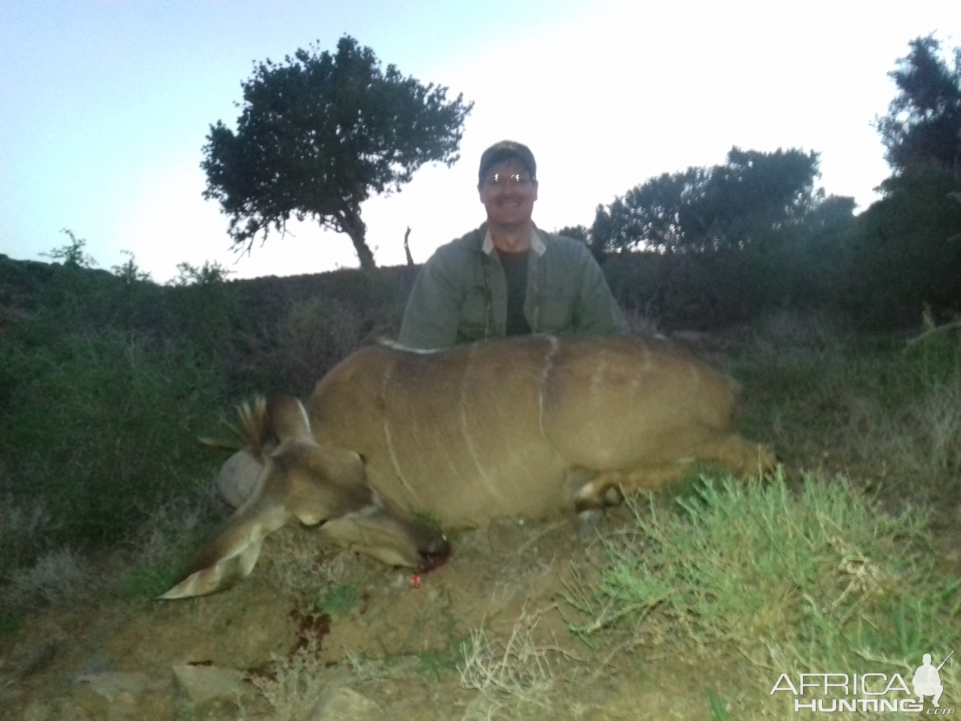 Female Kudu Cull Hunt in South Africa