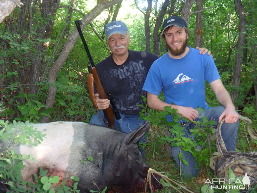 Feral Pig Hunt