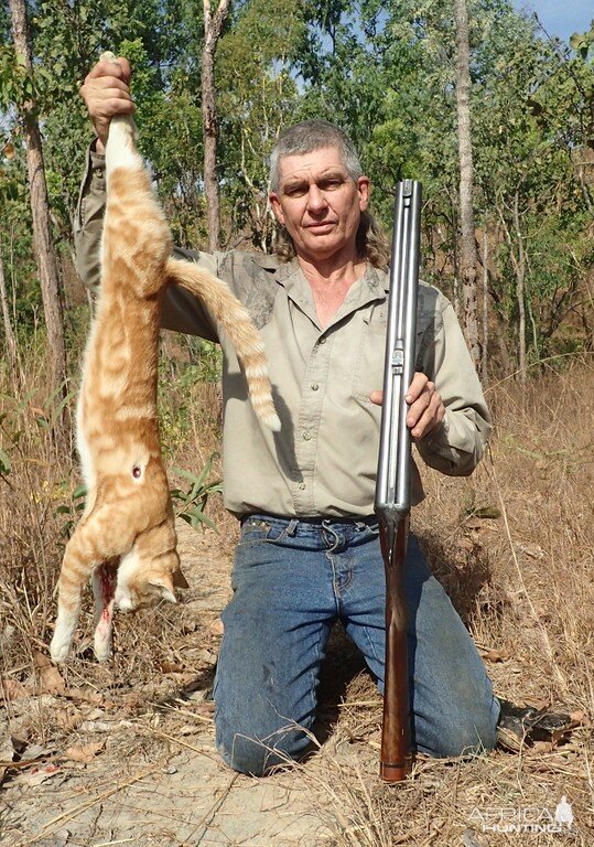Ferral Cat Hunt Australia