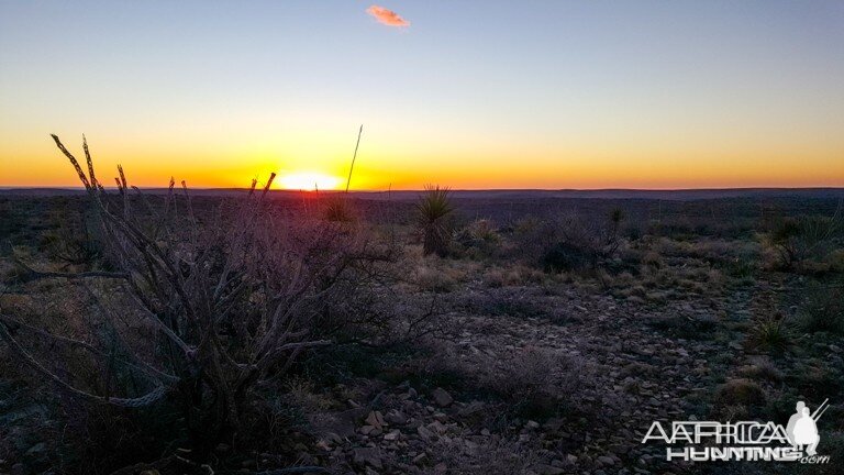 First Morning in New Mexico