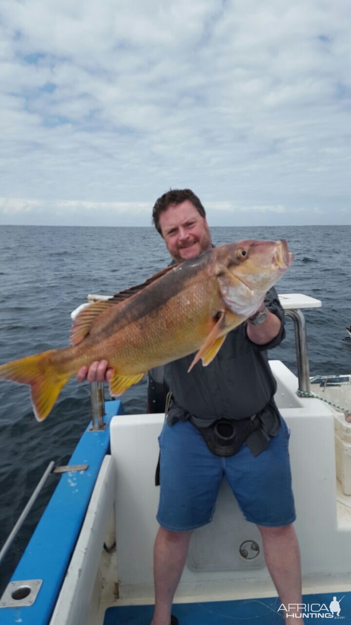 Fishing Copperhead Steenbra