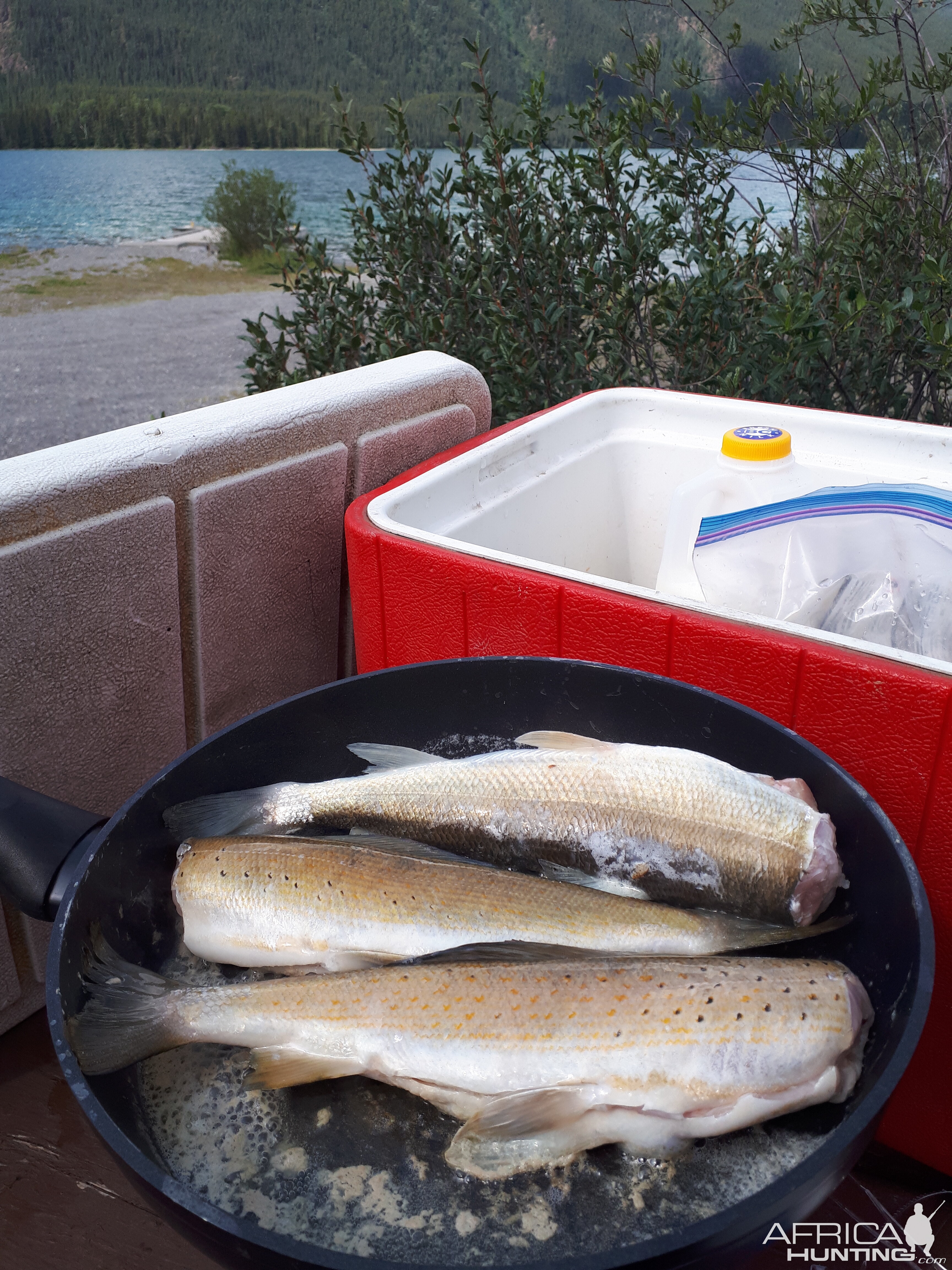 Fishing in British Colombia Canada