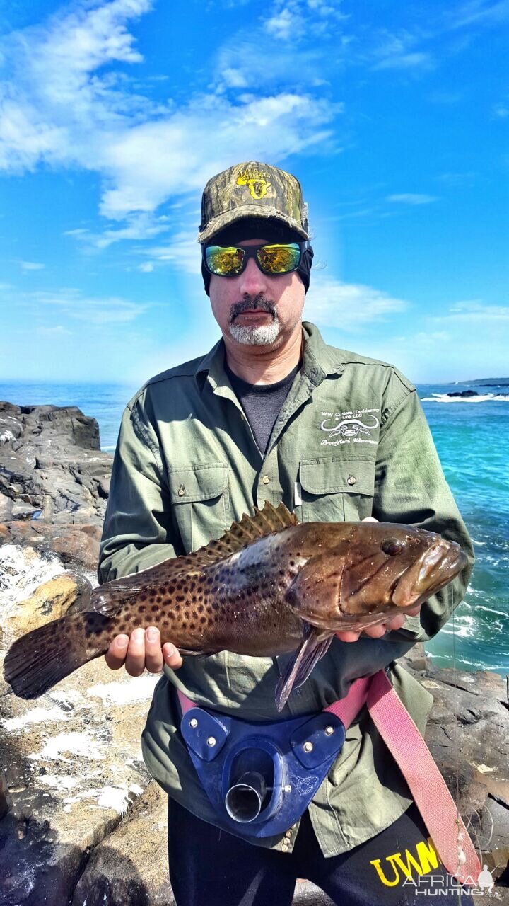 Fishing Klipfish in South Africa