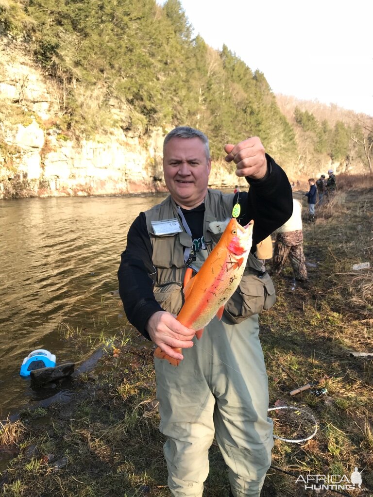 Fishing Palomino Trout in Pocono region of Pennsylvania