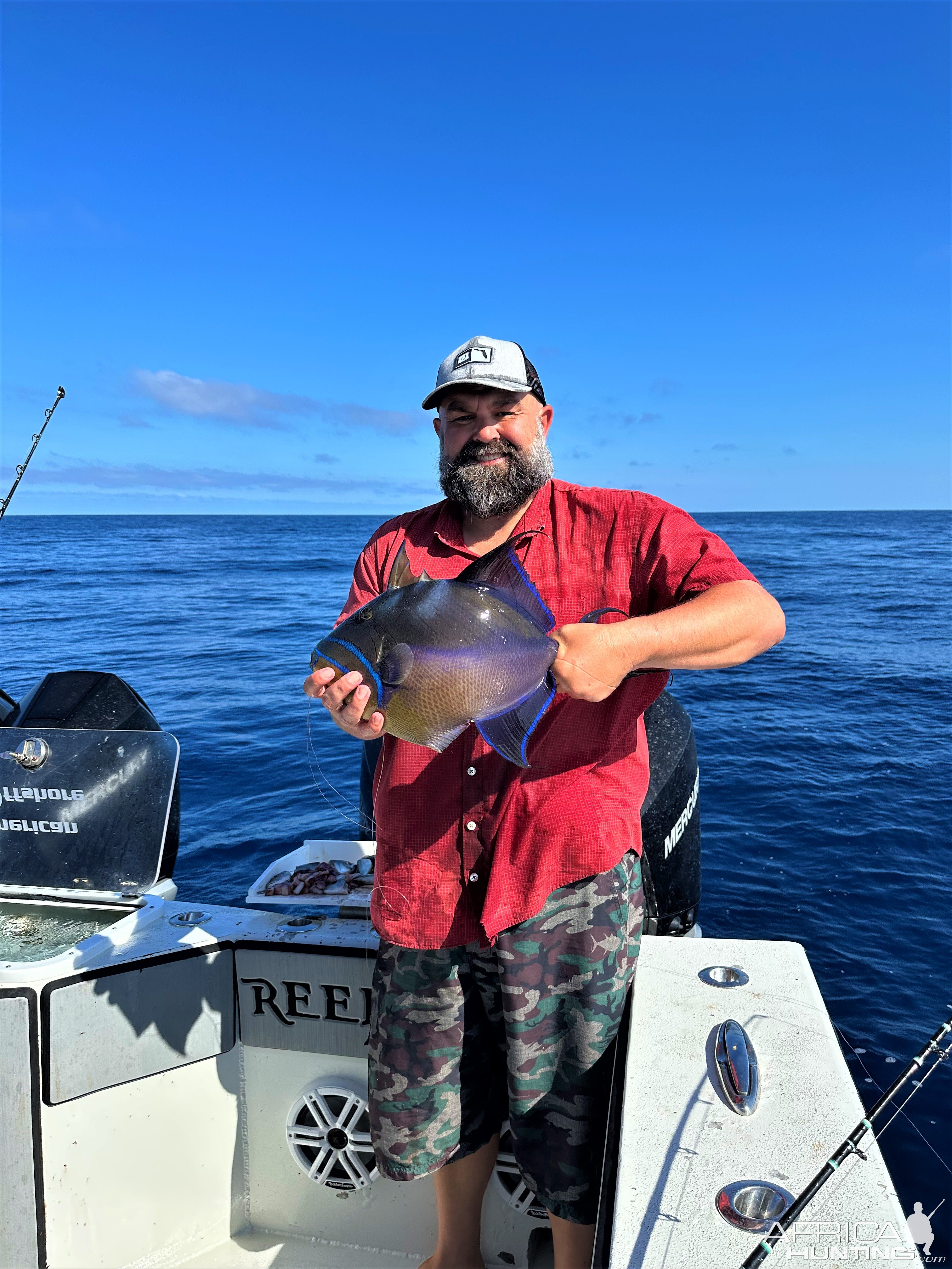 Fishing Queen Triggerfish Florida