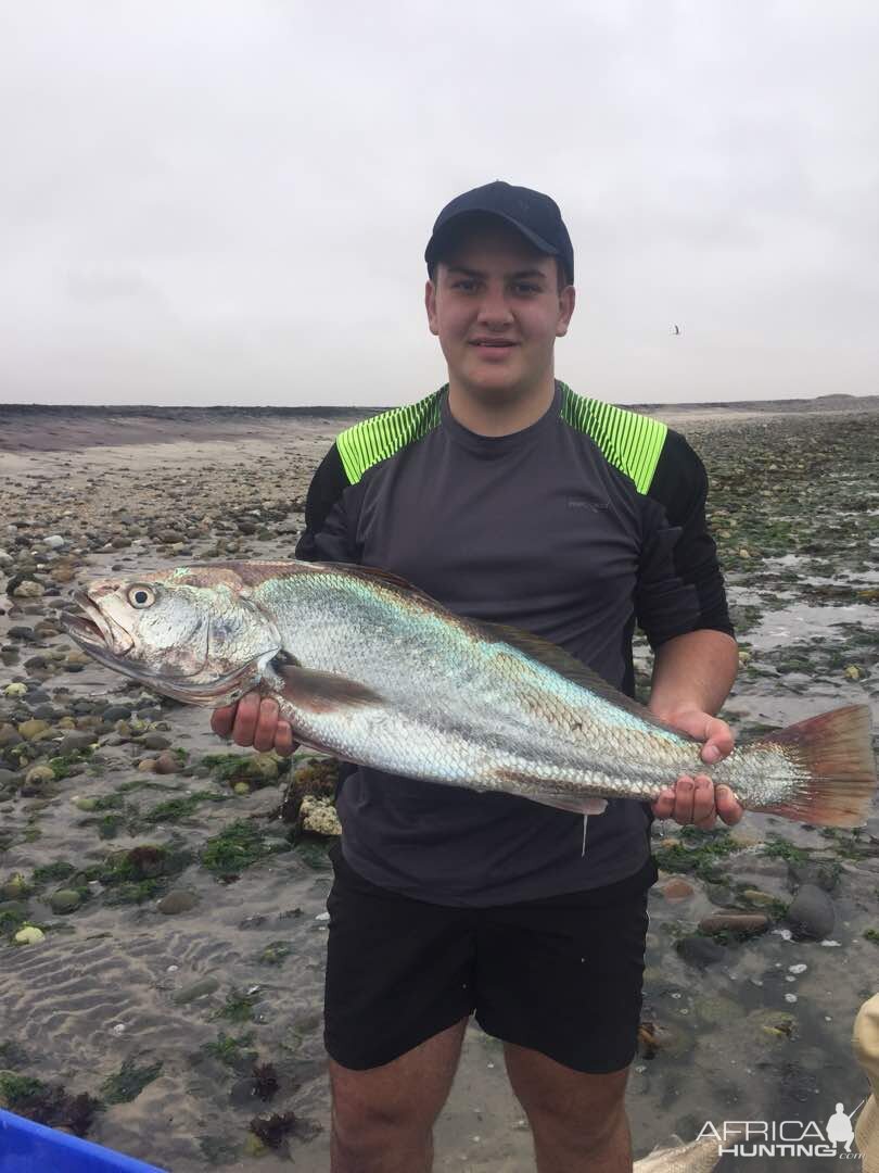 Fishing Silver Kob in Namibia