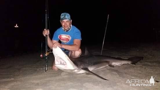 Fishing Spotted Gully shark in Namibia