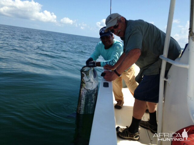 Fishing Tarpon