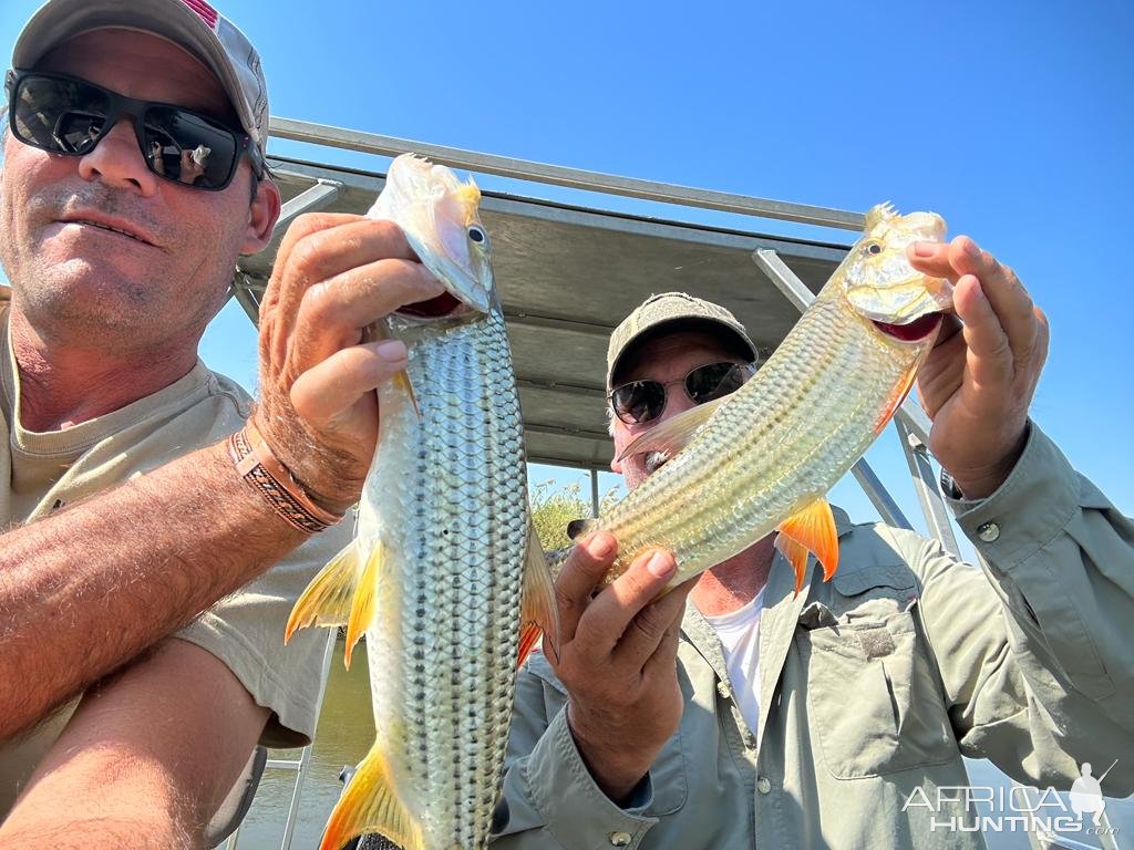 Fishing Tiger Fish Botswana