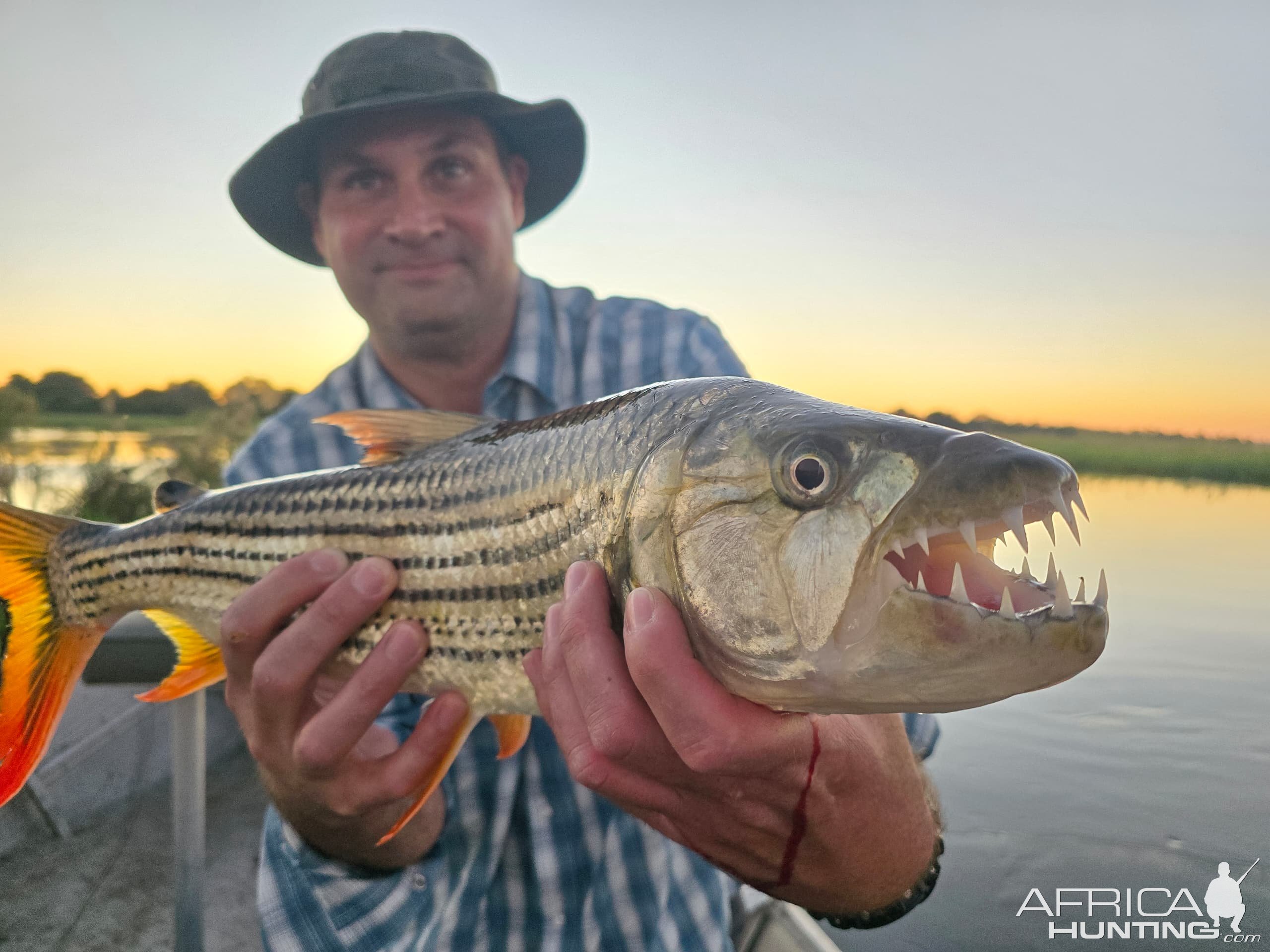 Fishing Tigerfish Bwabwata West Namibia