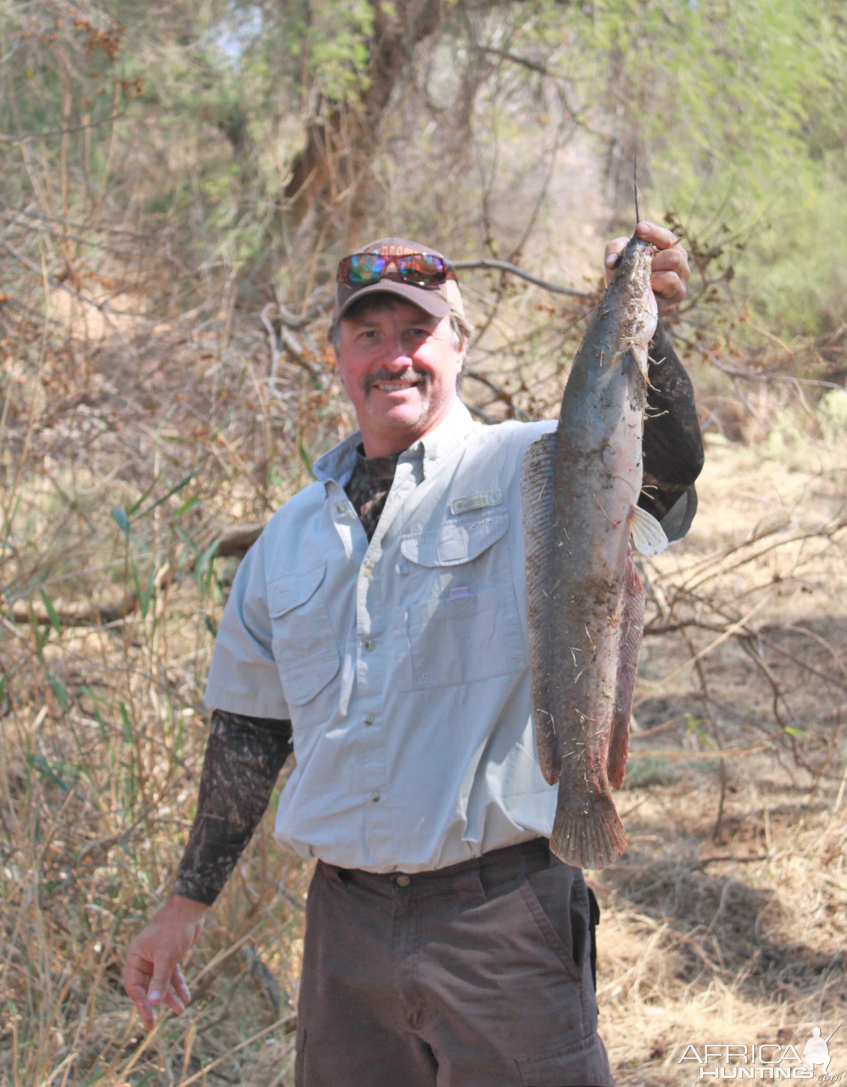 Flathead Catfish Limcroma Safaris 2015