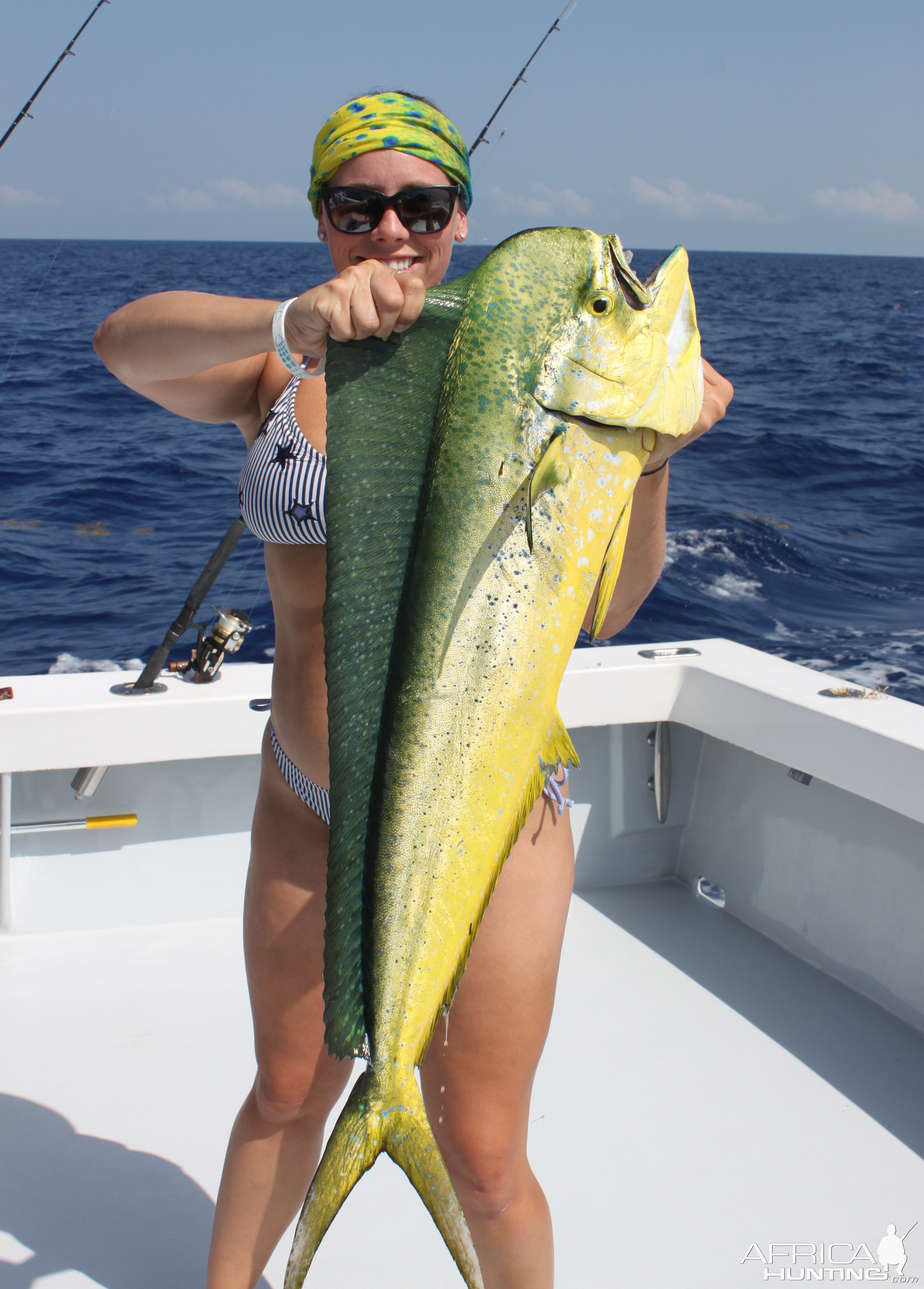 Florida Keys Fishing Dorado