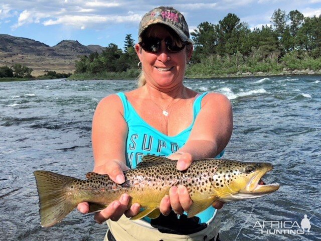 Fly Fishing Brown Trout in Montana, Idaho & Wyoming USA