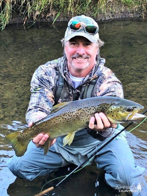 Fly Fishing Brown Trout New Zealand