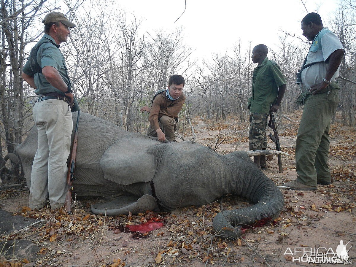 Fourth elephant - Zimbabwe October 2013