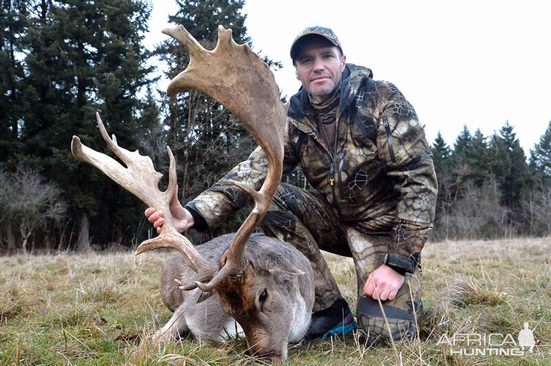 France Hunt Fallow Deer