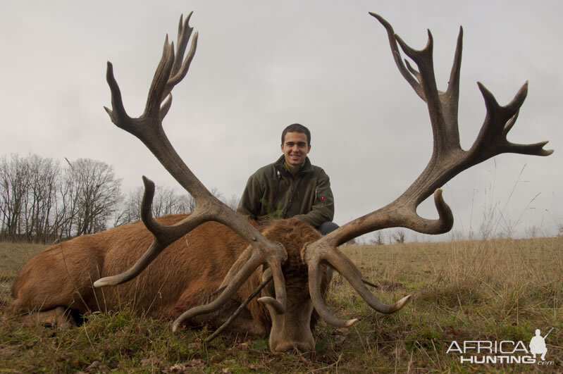 France Hunt Red Stag