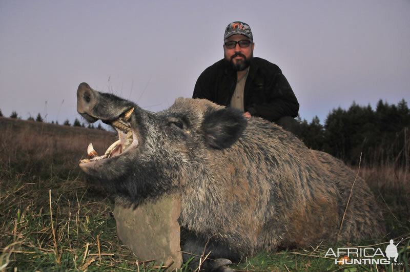 France Hunt Wild Boar