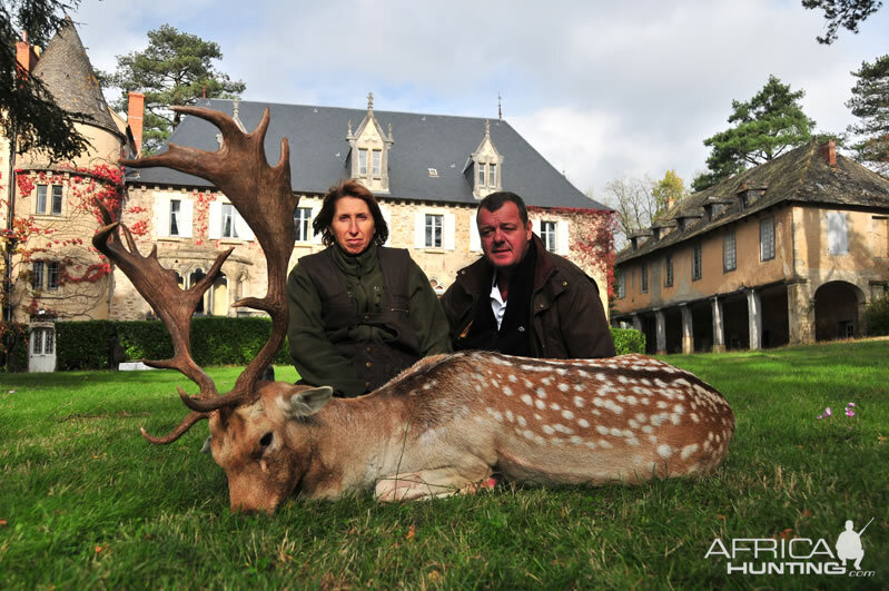 France Hunting Fallow Deer