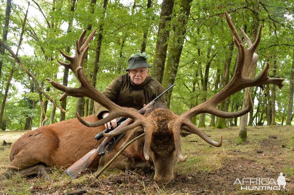 France Hunting Red Deer