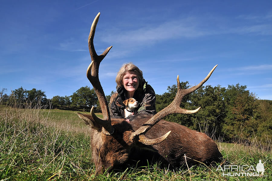 France Hunting Sika Deer