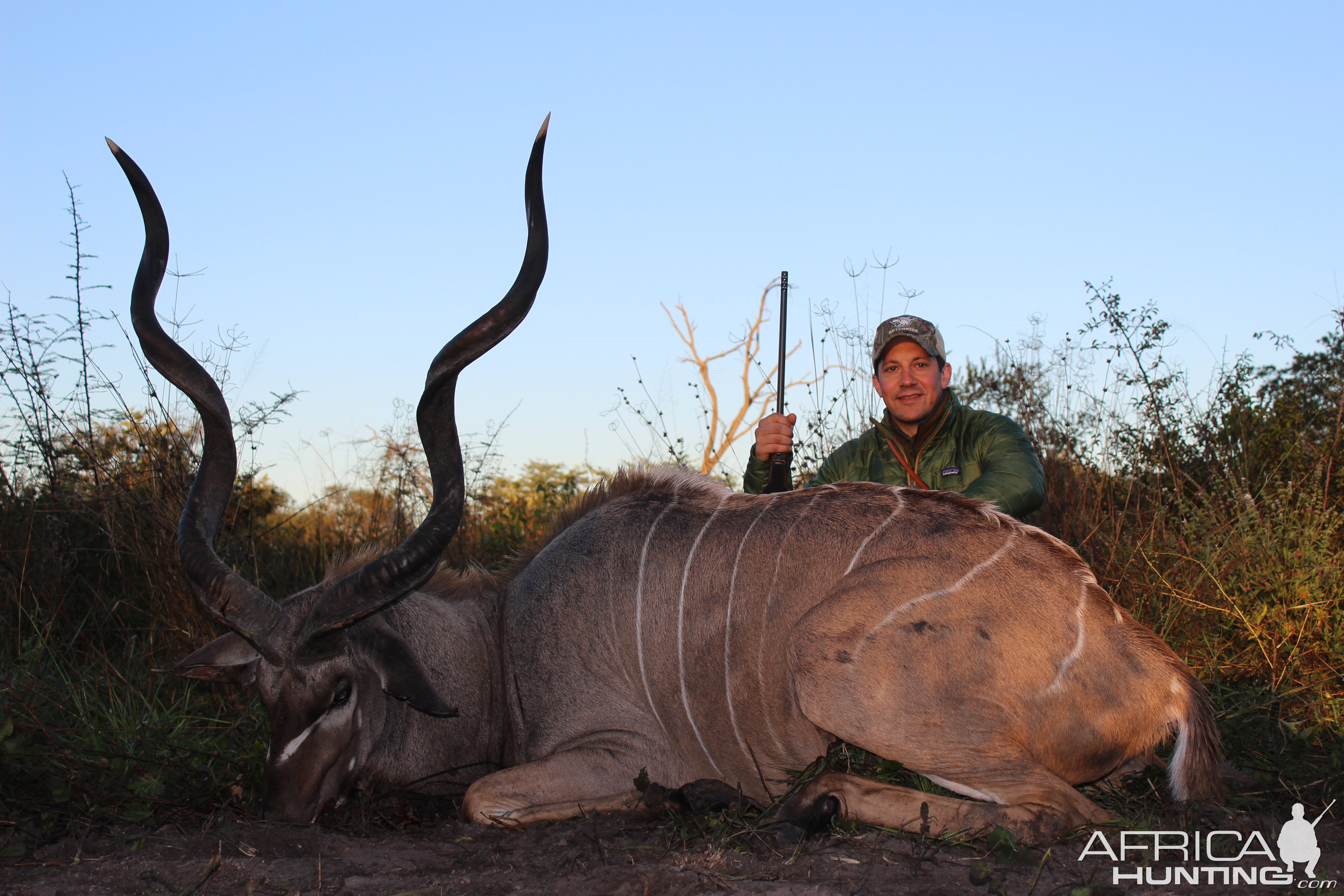 Free Range Kudu in the Caprivi