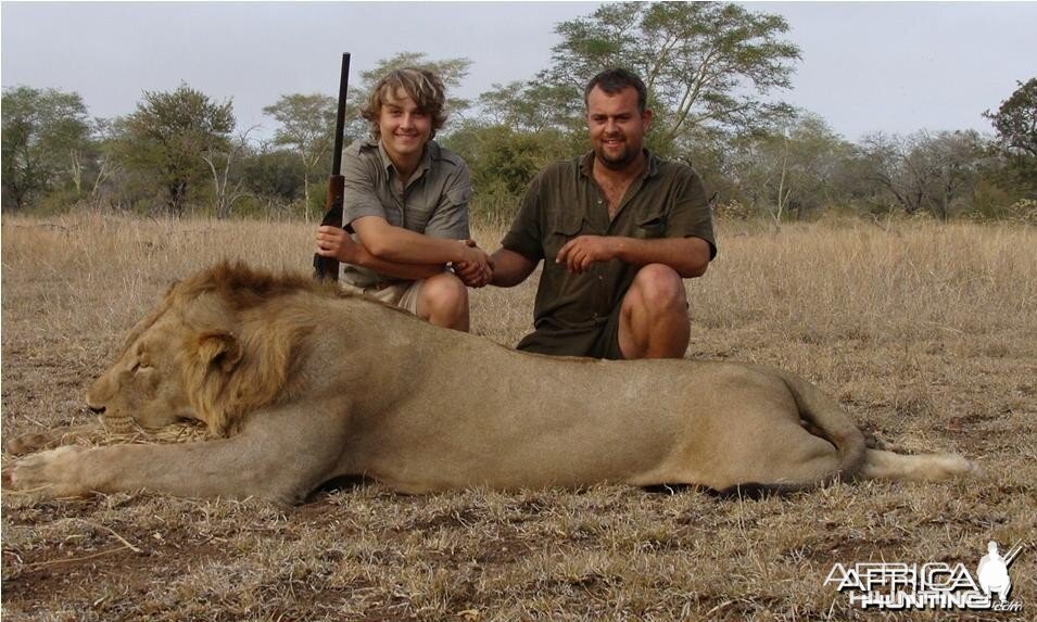 Free roaming Lion hunted in Mozambique