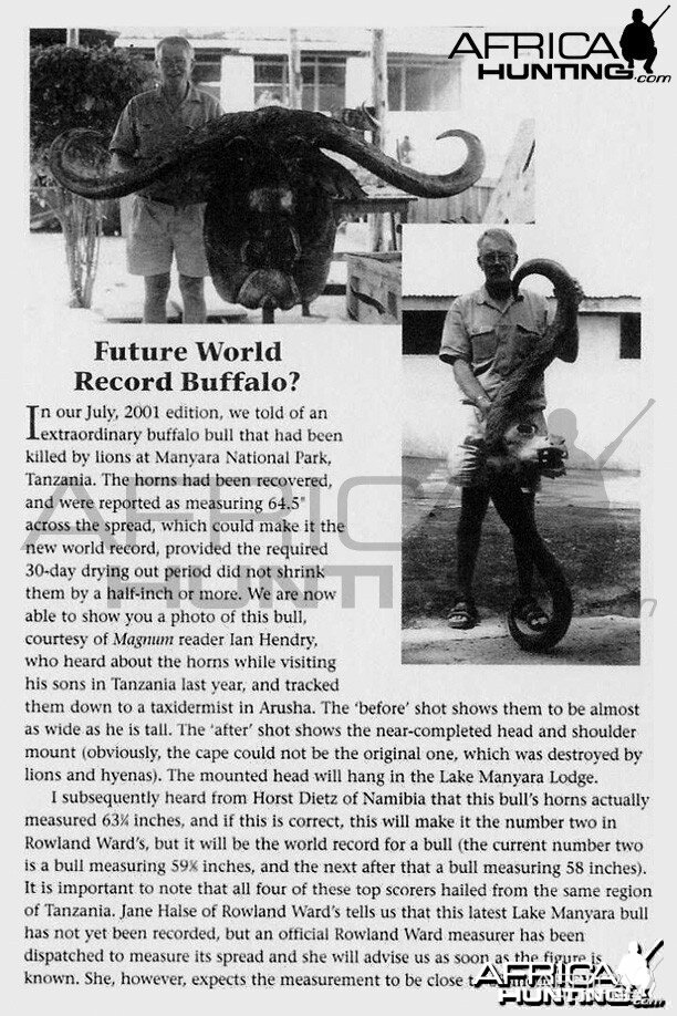 Futures World Record Buffalo?