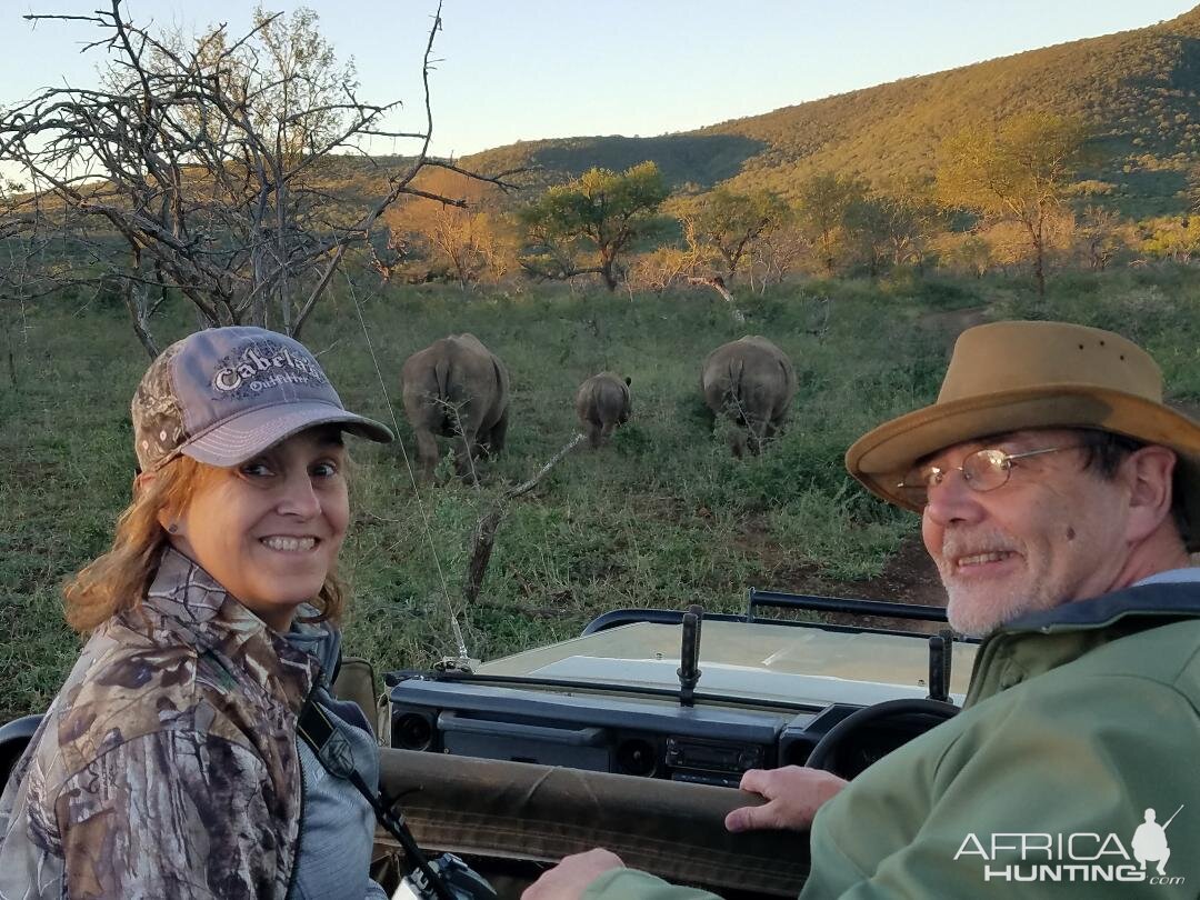 Game Viewing White Rhino in South Africa