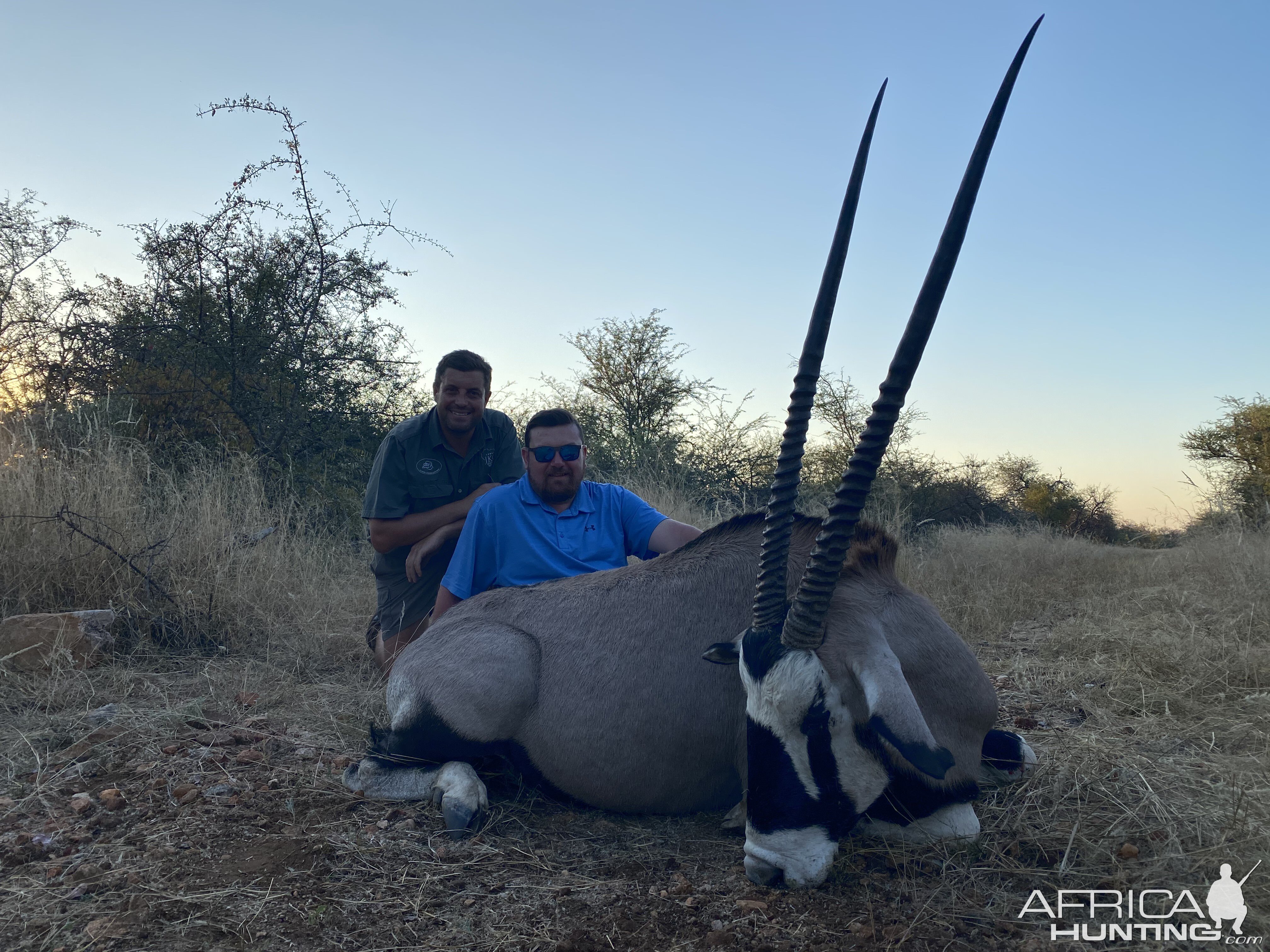 Gembsbok Hunting