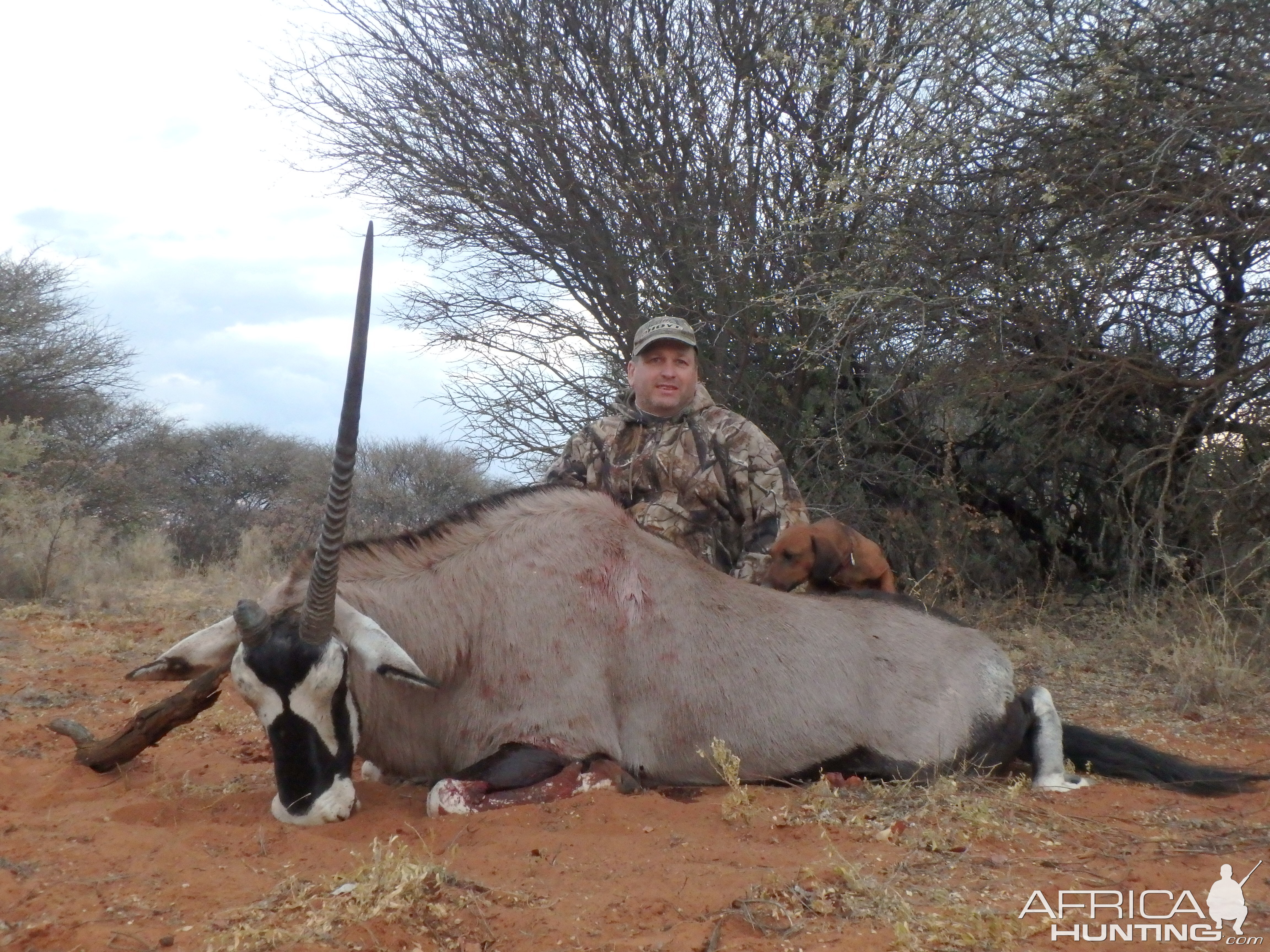 Gemsbok Bow Hunting Namibia