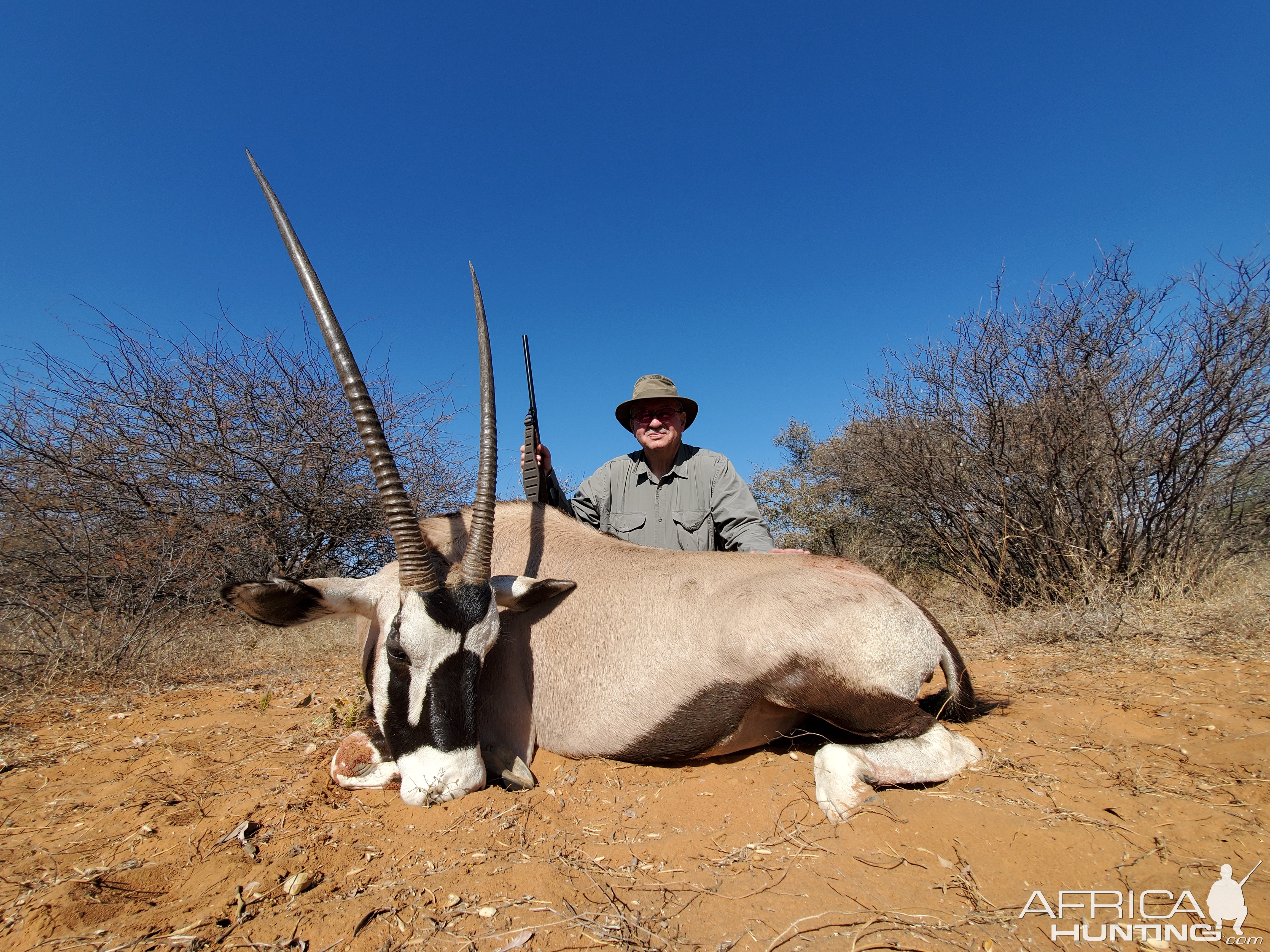 Gemsbok Cow Hunt