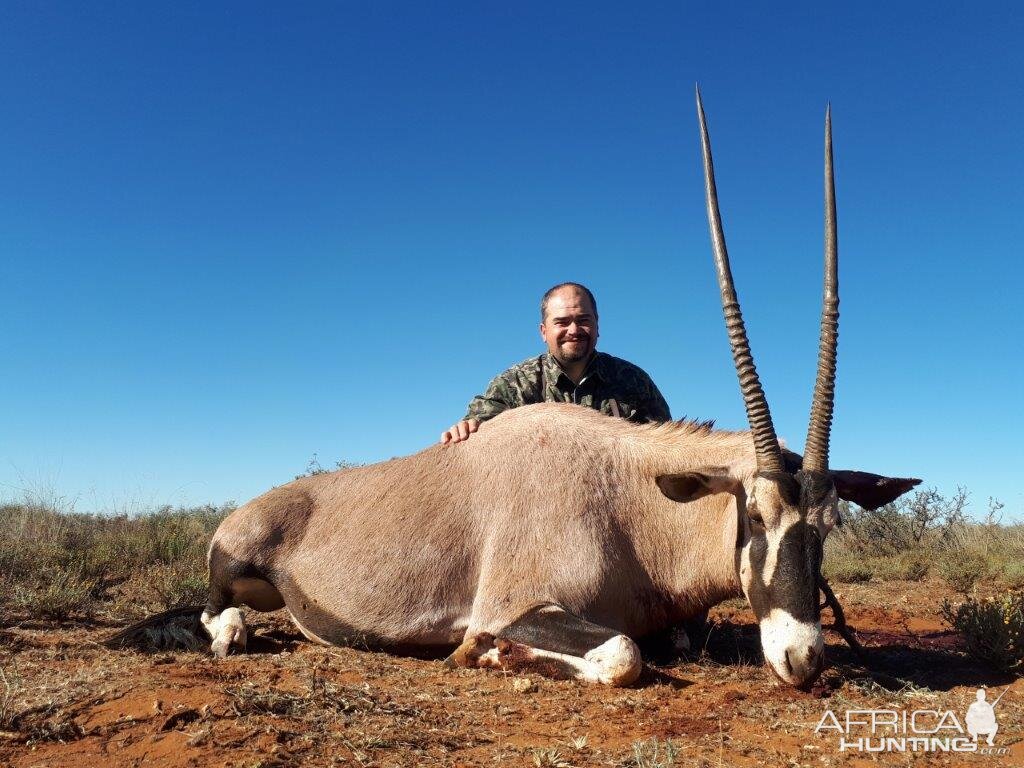 Gemsbok Hunt Kimberley Northern Cape South Afica