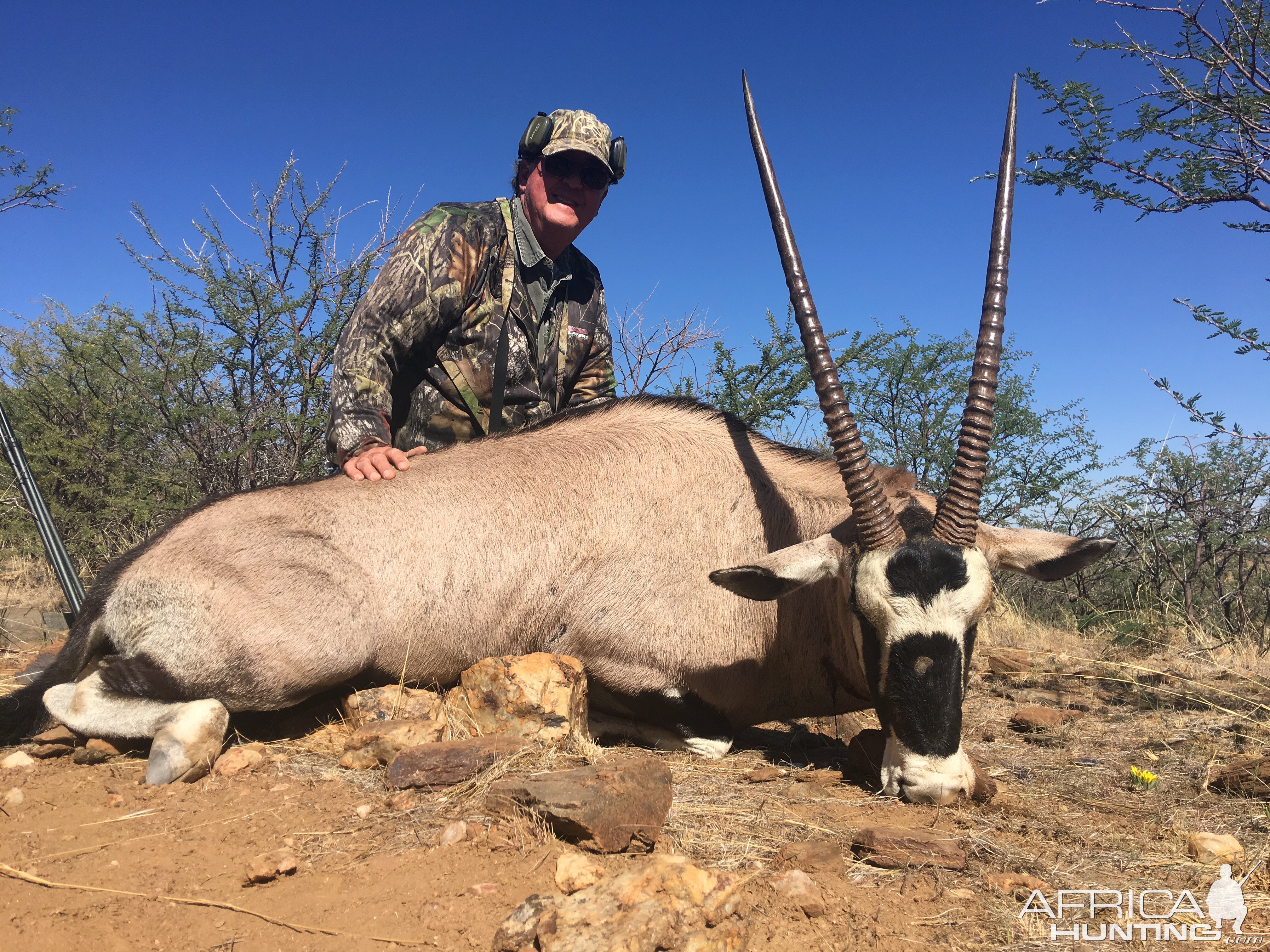 Gemsbok Hunt Namibia