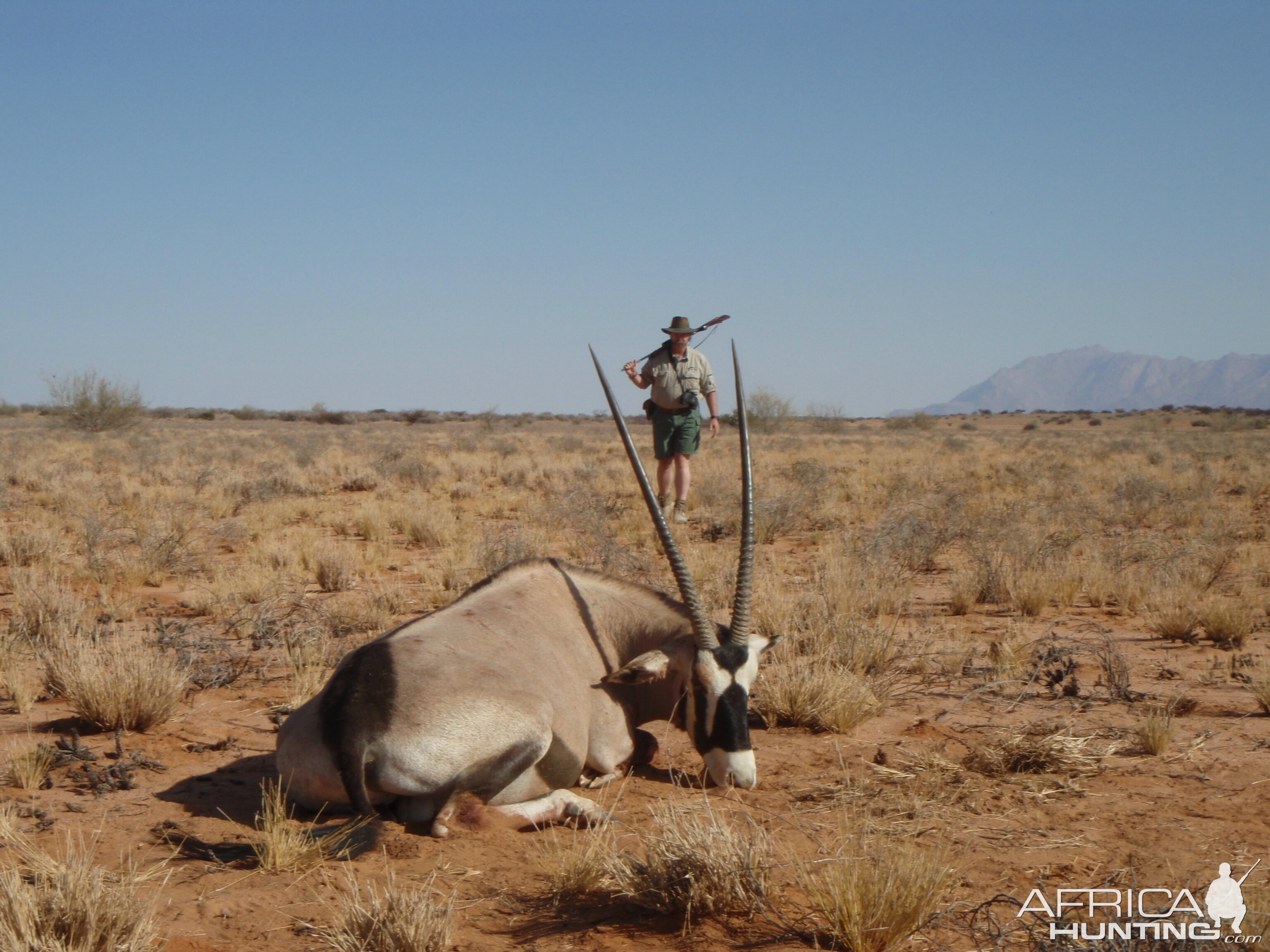 Gemsbok Hunt Namibia