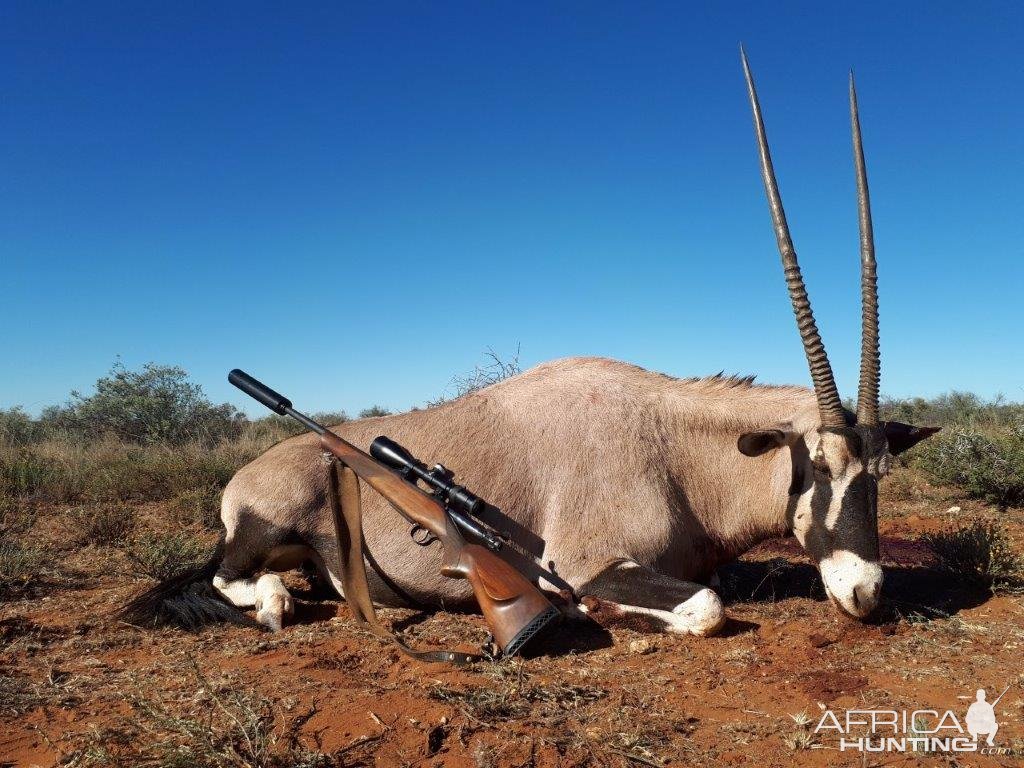 Gemsbok Hunt Northern Cape South Africa