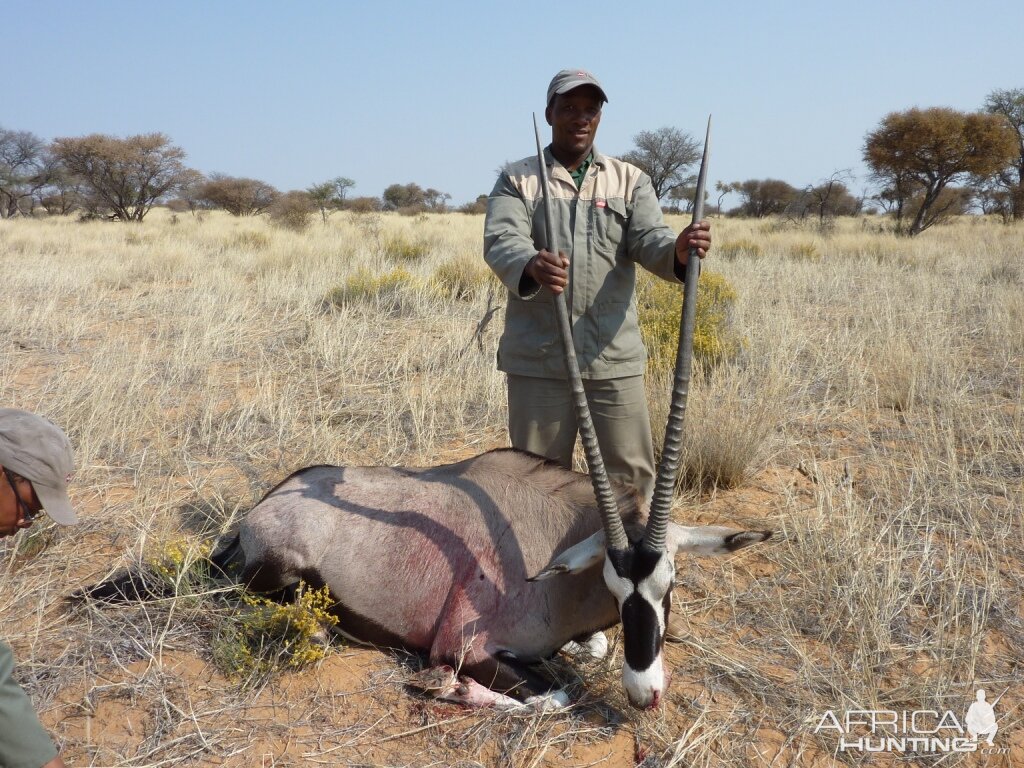 Gemsbok Hunt South Africa