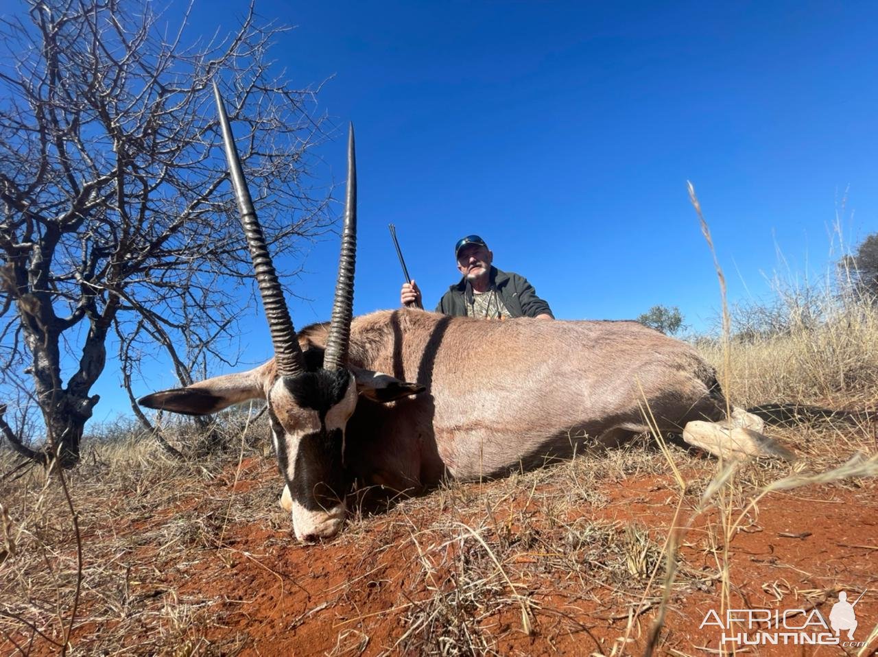 Gemsbok Hunt South Africa