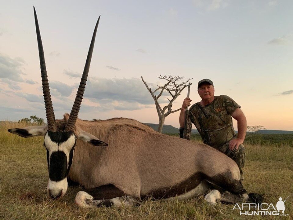 Gemsbok Hunt South Africa