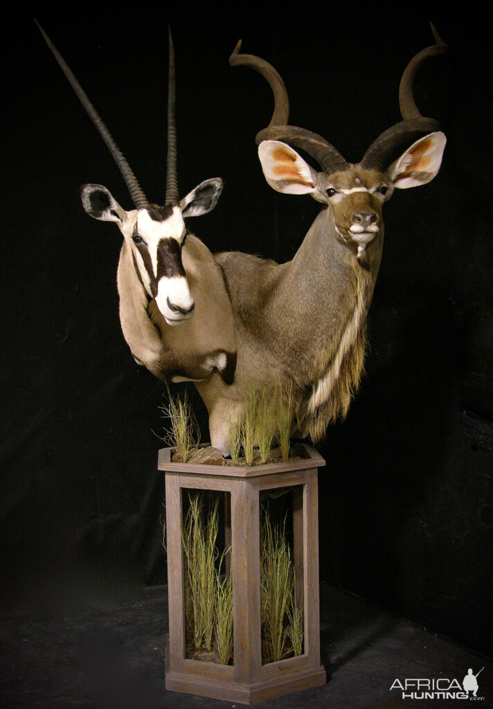 Gemsbok & Kudu Double Pedestal Taxidermy