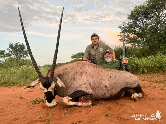 Gemsbok, Limpopo SA